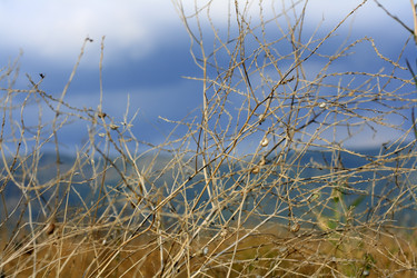 Similar image 766669