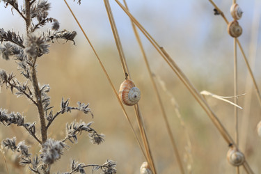 Similar image 766672