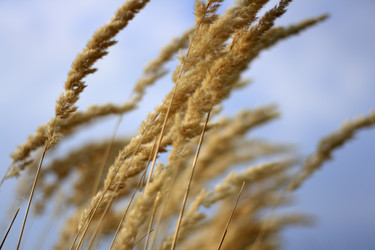 Similar image 766674