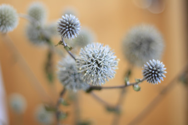 Similar image 766679