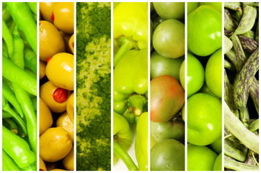 Similar image 766780