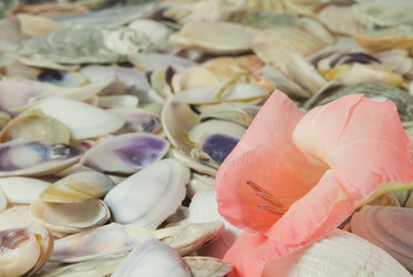 Similar image 766799