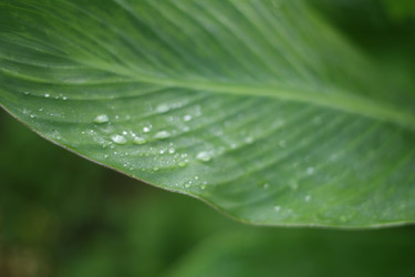 Similar image 766878