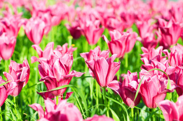 Similar image 766925