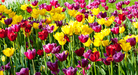 Similar image 766929