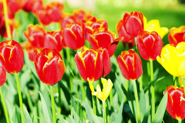 Similar image 766931