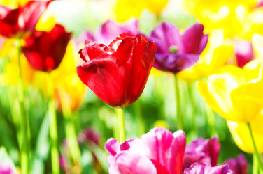 Similar image 766935