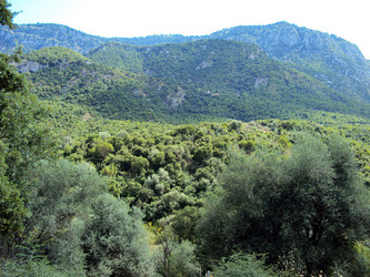 Similar image 766945