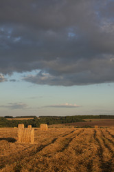 Similar image 766973