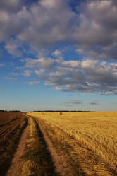 Similar image 766974