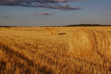 Similar image 766976