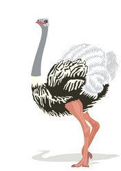 Similar image 767028