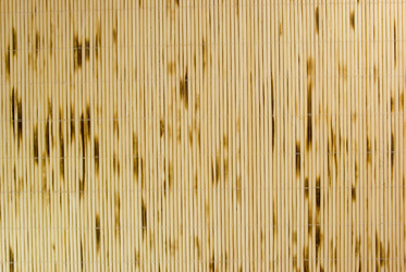 Similar image 767068