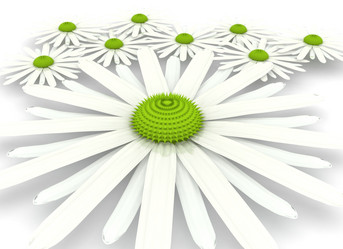 Similar image 767069