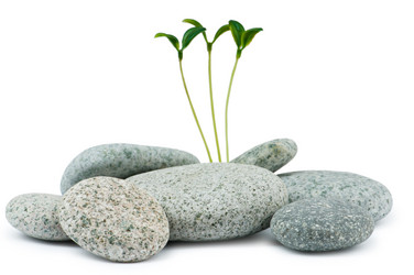 Similar image 767174