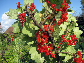 Similar image 767253