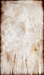 Similar image 767275