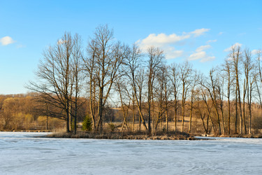 Similar image 767279