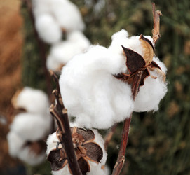 Similar image 767292