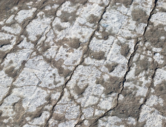 Similar image 767330