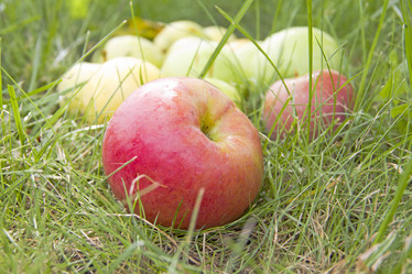 Similar image 767418