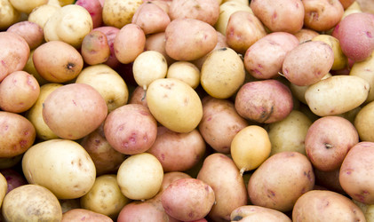 Similar image 767419