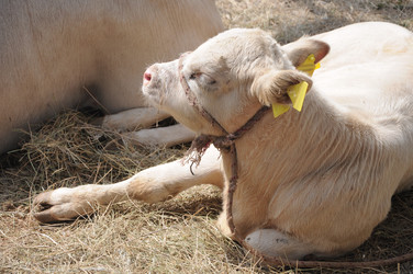 Similar image 767433