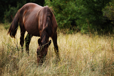 Similar image 767435