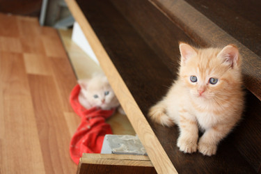 Similar image 767495