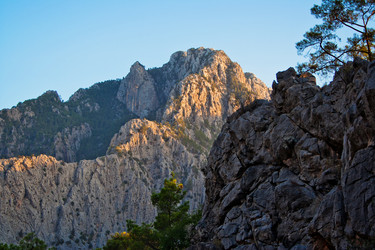 Similar image 767519