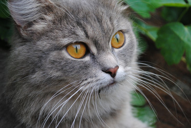 Similar image 767530