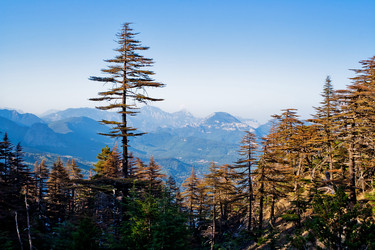 Similar image 767546