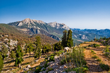 Similar image 767549