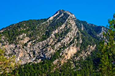 Similar image 767550