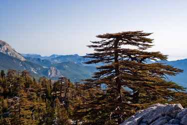 Similar image 767551