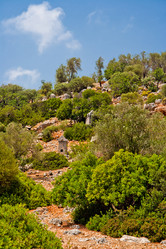 Similar image 767571