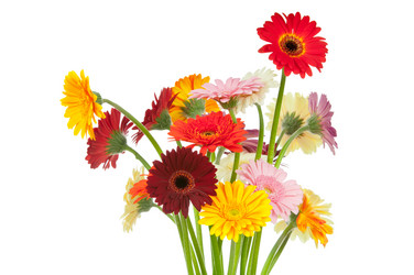 Similar image 767582