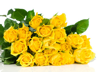 Similar image 767583