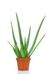 Similar image 767584