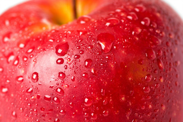 Similar image 767585