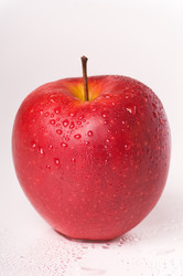 Similar image 767586