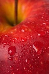 Similar image 767587