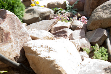 Similar image 767592