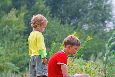 Similar image 767739