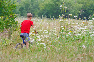 Similar image 767745