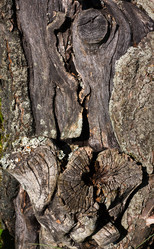 Similar image 767963