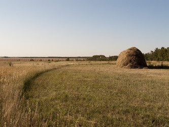 Similar image 767981