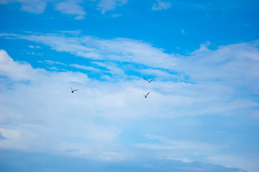 Similar image 767986