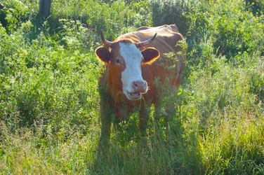 Similar image 767990