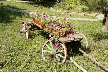 Similar image 767991